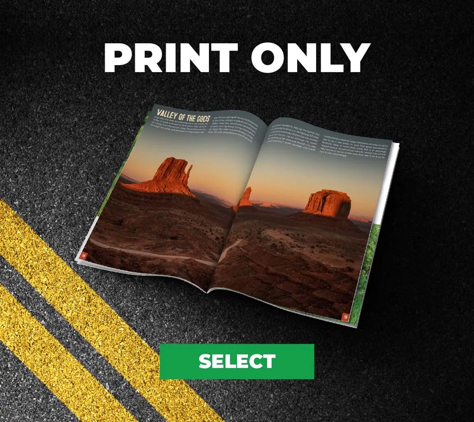 Print Only