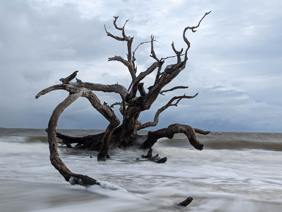 3 Visit the highly photographed Driftwood Beach on Jekyll Island Top things to do RV trip