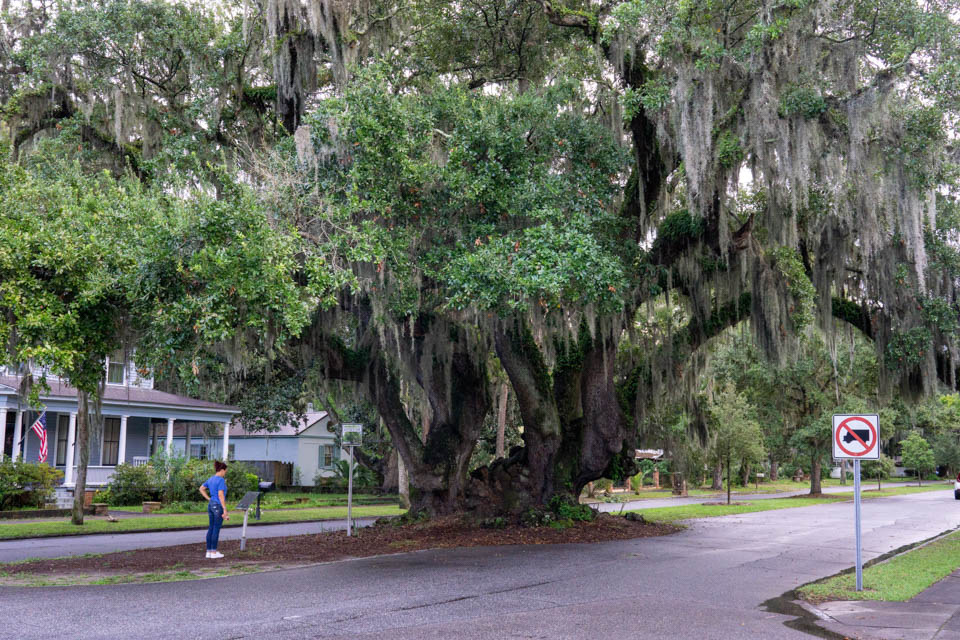 8 Visit a historic plantation in the Golden Isles top things to do RV trip