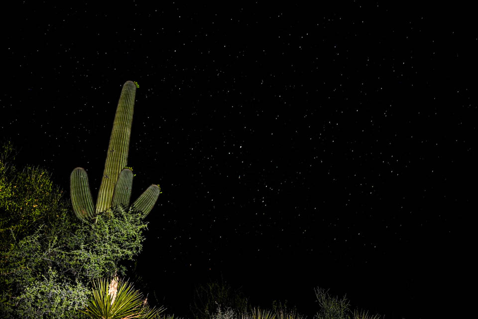 6 Sabino Canyon in Tucson AZ top things to do RV trip