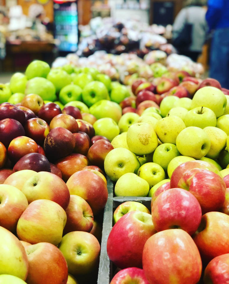 Visit an orchard in Ellijay GA top things to do in Ellijay