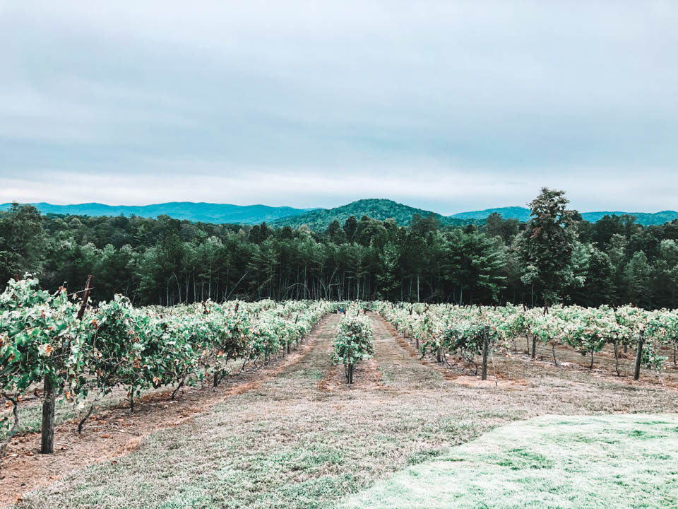 2 Visit a winery near Ellijay GA
