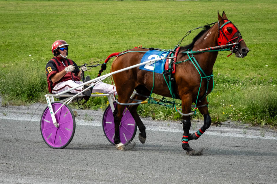 4 Watch exciting horse racing at Bangor Raceway top things to do Bangor Maine RV trip