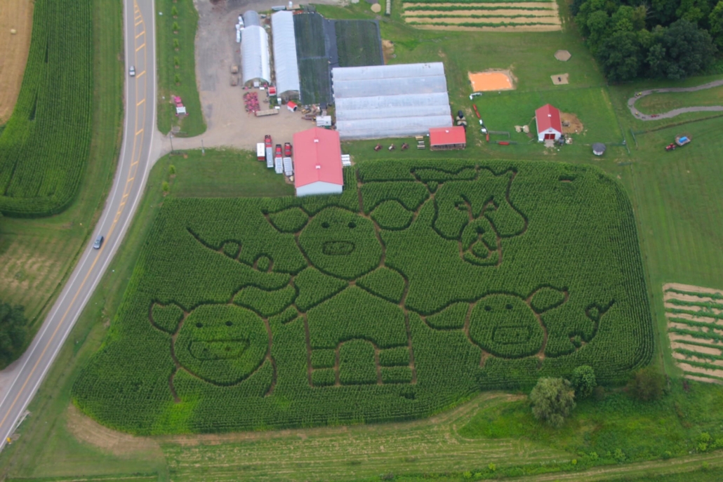 hh_mcdonalds-greenhouse-corn-maze_mid_100064_mcdonalds-greenhouse-corn-maze-host_21-08-31_DHzmiqtlWjWaKQ04_aa40888cc1ed20594e68cc41104c0688.jpg