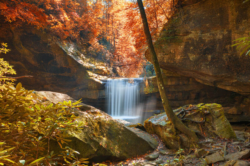 RV Life top places every RVer should visit Daniel Boone National Forest