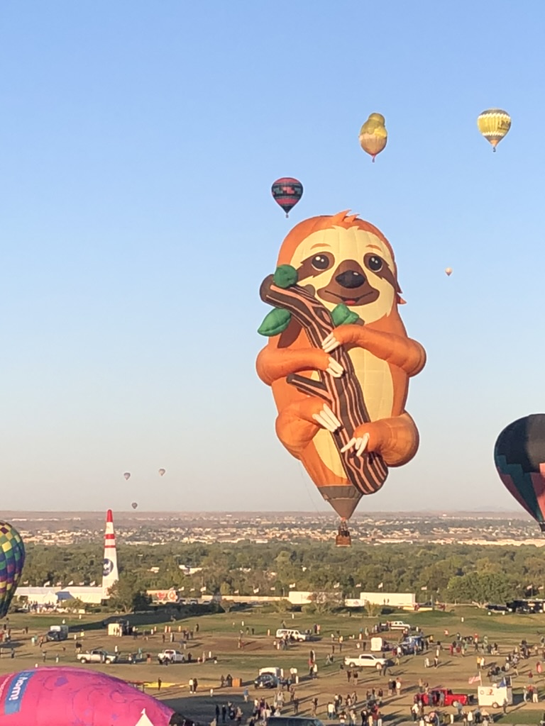 8 Attend Special Shapes Rodeo