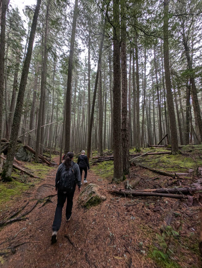 2 Take a hike near Glacier National Park Flathead Valley Bigfork Kalispell Whitefish Columbia Falls