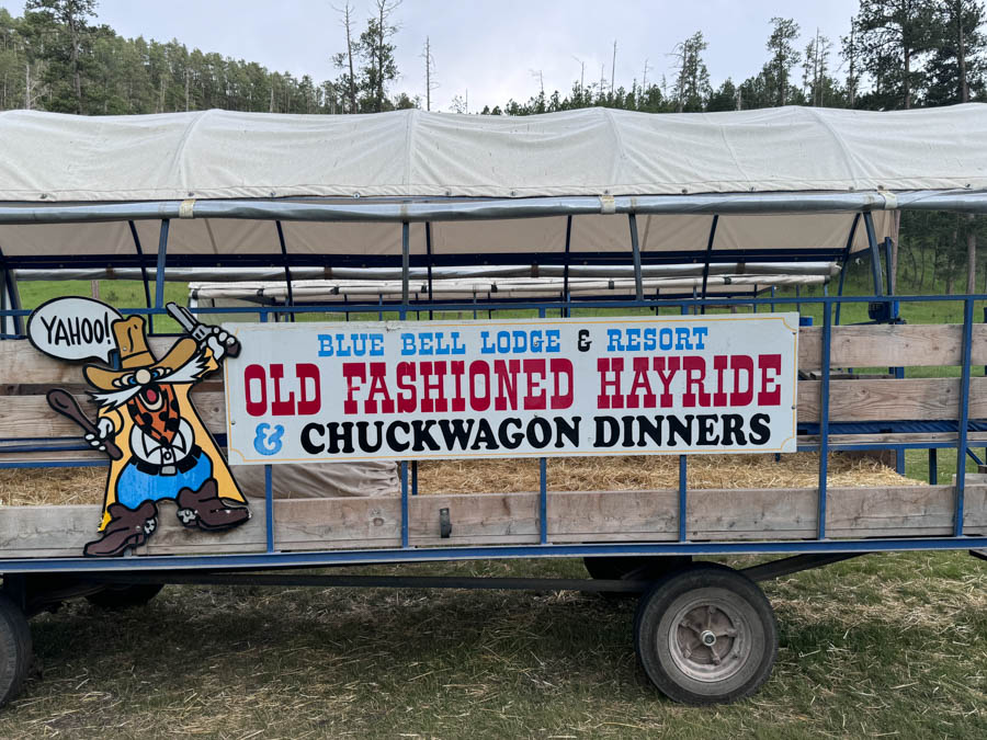 4 Enjoy dinner outside Chuckwagon dinner Custer State Park top things to do