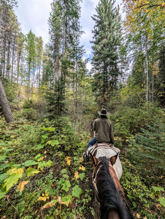6 Take an outdoor Tour near Glacier National Park Swan Mountain Outfitters Columbia Falls Kalispell Whitefish Bigfork Top things to do