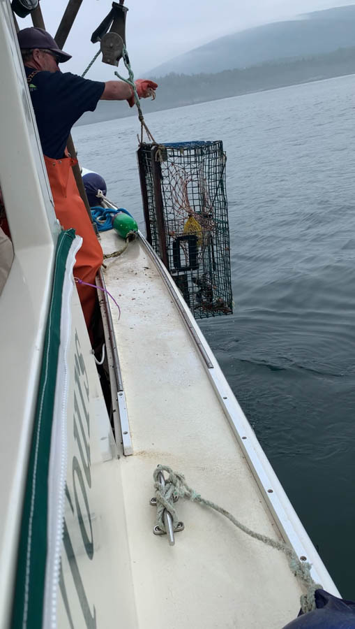 9 Take a Lobster Boat tour with Lulu Lobster Boat Top things to do Bar Harbor Maine RV Trip