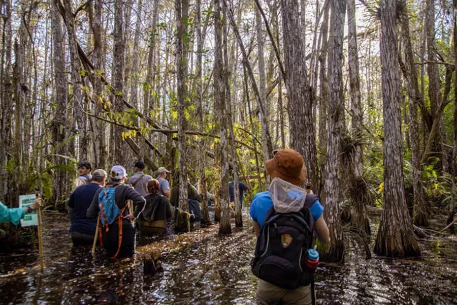 Swamp Walk top things to do in Everglades National Park RV trip
