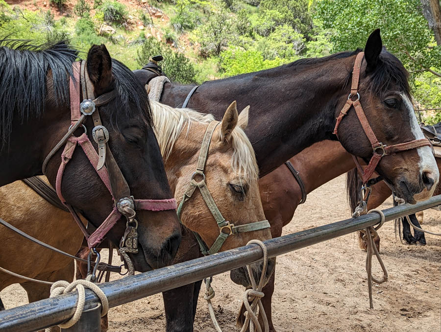 6 take a horseback ride on the horse friendly trails in Sunriver, Oregon top things to do
