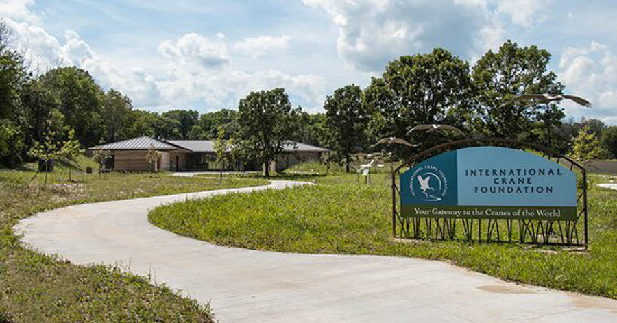 8 World's best International Crane Foundation in Baraboo Wisconsin cranes photo credit trip advisor