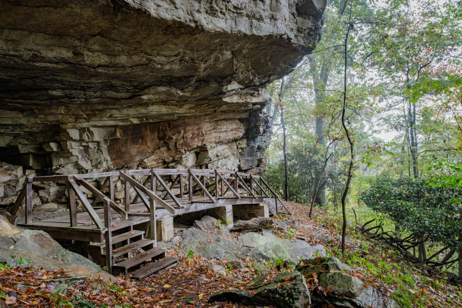 3 Tunnel Trail Hike New River Gorge NP_1
