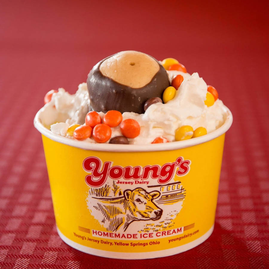 Number 7 Youngs Jersey Dairy