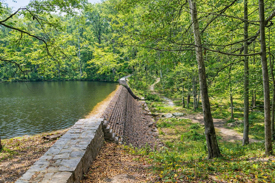 9 Kings Mountain State Park